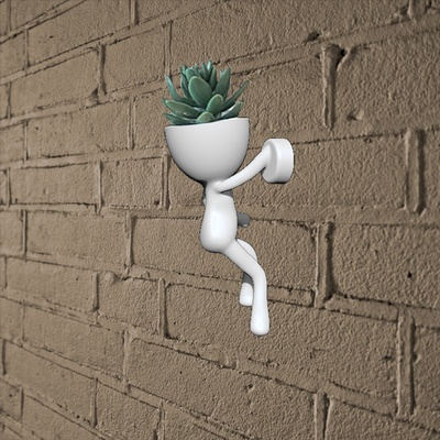 robert plant hanging pot cactus succulents decoration decor garden 3d print model - Mito3D