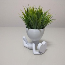 Robert plante vase planteur cœur Valentin femme petite amie petit ami 3d print model - Mito3D