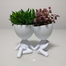 Roberto pianta vaso fioriera coppia San Valentino moglie ragazza fritta fidanzato 3d print model - Mito3D