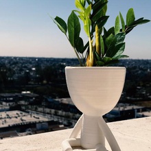 Robert pot planteur fleur plante 3d print model - Mito3D