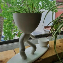 robert tablista plantador doble verano pura vida planta suculento lindo amantes lapuravida 3d print model - Mito3D