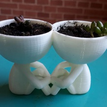 robert vazo aşk ev dekorasyon etli kaktüs severler çiftler arkadaşlar arkadaşım dostluk erkek arkadaşı kız karısı koca ruh tarih valentine Sevgililer Günü 3d print model - Mito3D