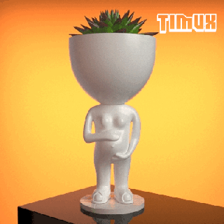 roberta pianta incinta Roberto robertplant fioriera pentola succulenta cactus vaso decorazione yankee mamma ornamento regalo madre 3d print model - Mito3D