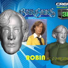 robin bee gees head 3d print model - Mito3D