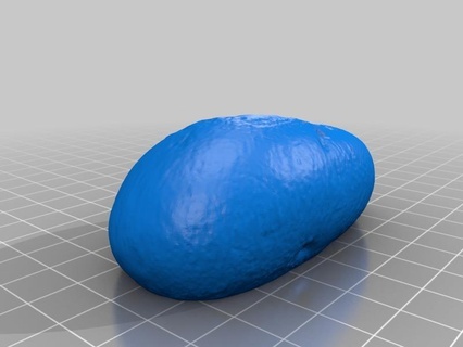rock makerbotdigitizer potato scan art 3d print model - Mito3D