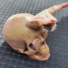 rock 'n skull biker piston rock'n roll halloween sign of horn horror humour fun 3d print model - Mito3D