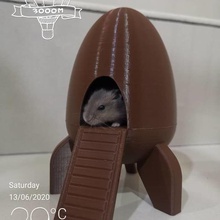 foguete animal de estimação a casa hamster cat cão animais cobaia 3d print model - Mito3D