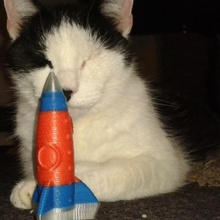 foguete meu gato jogo 3d print model - Mito3D