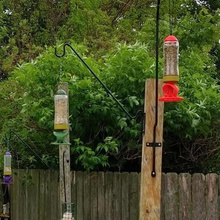 foguete de aves feeder home mason-jar bird-seed foody bird-eating bird-creeping ornitholigist ornithology birding bird-peeping bird-food bird-watching birdfeeder feeding observação pássaros animais 3d print model - Mito3D