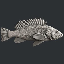 pescado de roca art vcarve aspire artcam magia los huesos la impresora Modelos 3d 3d print model - Mito3D
