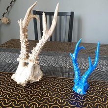 roe deer skull various animal 3d print model - Mito3D