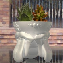 rolando pedra vaso flores plantas jardim brinquedo coleção arte jogos decoração flor Rocha 3d print model - Mito3D
