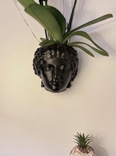 roman bust flower pot pot flower art plant novel  3d print model - Mito3D