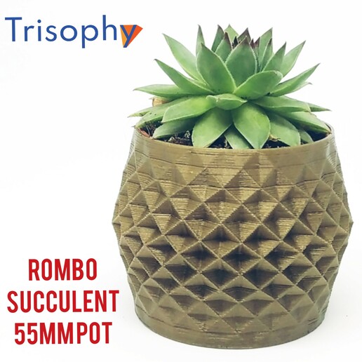 rhombe 55mm succulentes pot Accueil maison vase 3D print model - Mito3D