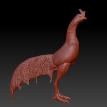 rooster art 3d print model - Mito3D