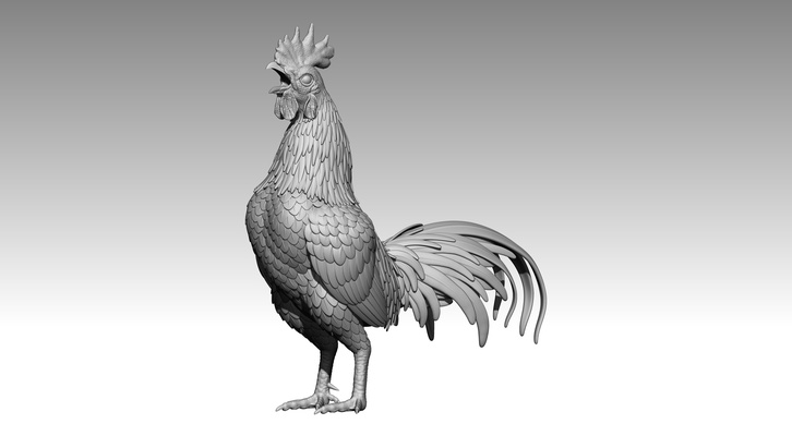 gallo pollo coq polla hahn animal juguete mascota 3d print model - Mito3D