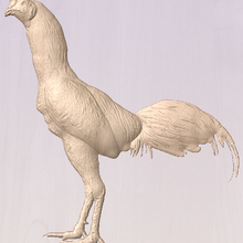 gallo gamefoul juego de pollo asil cnc alivio art router el aves en la falta 3d print model - Mito3D