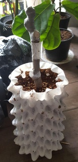 raíz entrenador maceta aire poda artilugio formación air pot planta crecer 3d print model - Mito3D