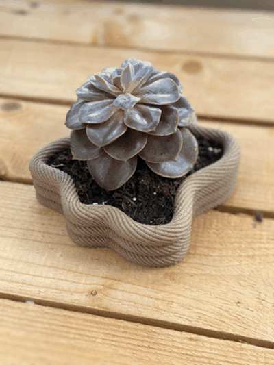 cuerda suculento plantador cuenco hogar casa maceta patrón escandinavo flor planta 3d print model - Mito3D