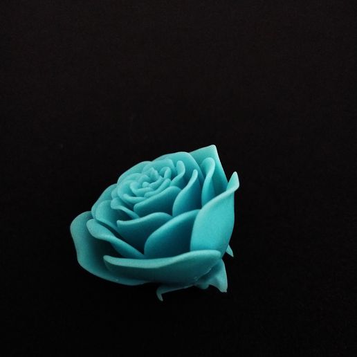 rosa 3D print model - Mito3D