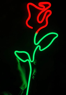 Rosa neón LED cuadro 40cm Arte flor lámpara niña regalo 3d print model - Mito3D