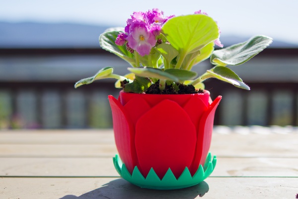 rose petal flower pot home 3d print model - Mito3D