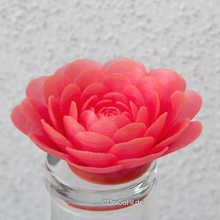 rosas tabela casa 3d print model - Mito3D