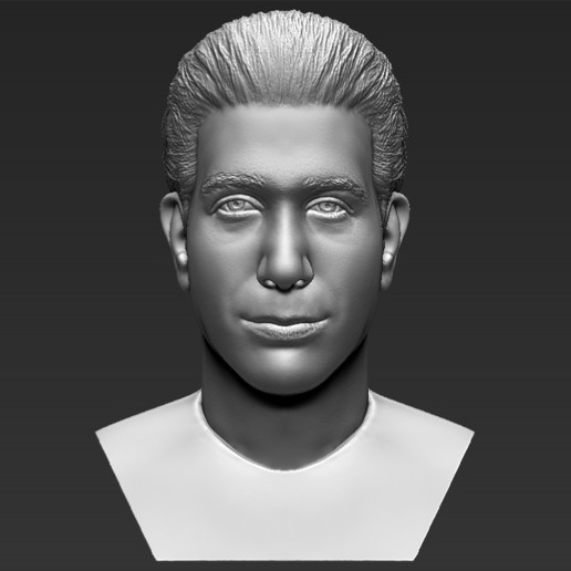 ross geller amigos busto de la impresión en 3d listo stl, obj formatos art el jennifer aniston chandler bing joey tribbiani rachel green monica comedia enredo oficina seinfeld schwimmer hollywood tv 3D print model - Mito3D