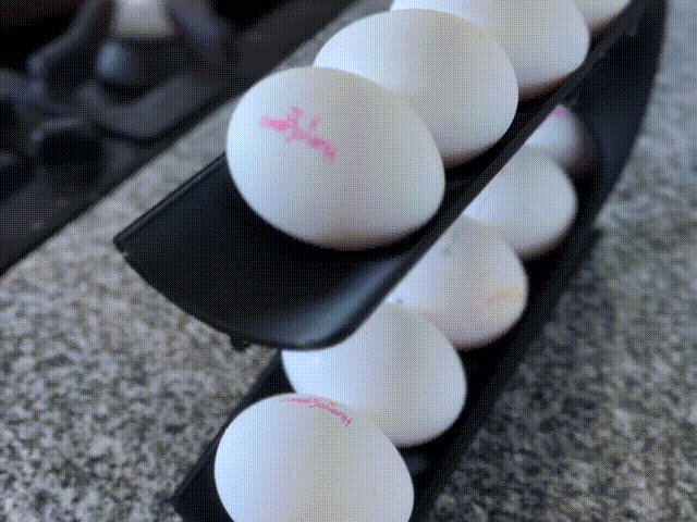 döner Yumurta dağıtıcı destekler yumurtalar buzdolabı organizatör tasarım minimalist 3D print model - Mito3D