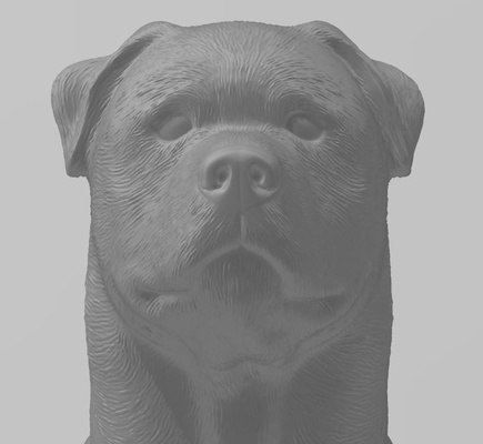 rottweiler art animal animals scuptures busts 3d print model - Mito3D