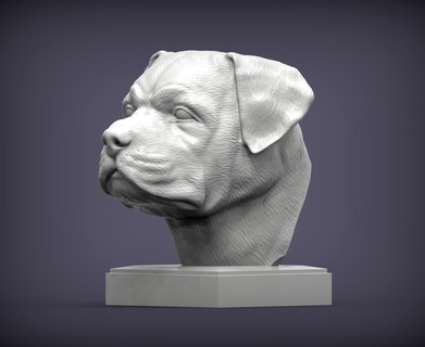 rottweiler 3d impression modèle buste chien nature mammifère animal compagnie sculpture statuette souvenir présent sculpter sculptures imprimable allemand berger art 3d print model - Mito3D