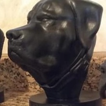 rottweiler busto a arte animais de estimação cachorro cães 3d print model - Mito3D