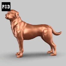 rottweiler posa 01 arte cane animale giocattolo domestico figurine 3d print model - Mito3D