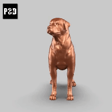 rottweiler posa 02 arte cane animale giocattolo domestico figurine 3d print model - Mito3D