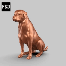 rottweiler posa 03 arte cane animale giocattolo domestico figurine 3d print model - Mito3D