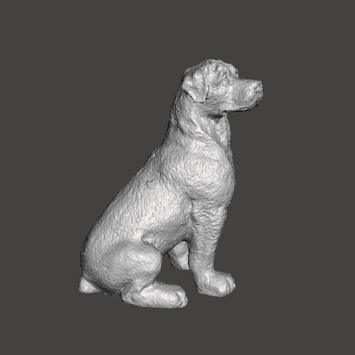 rotwailer Hund Maskottchen Zahl Kunst Freund Tier Baby Hündchen 3D print model - Mito3D