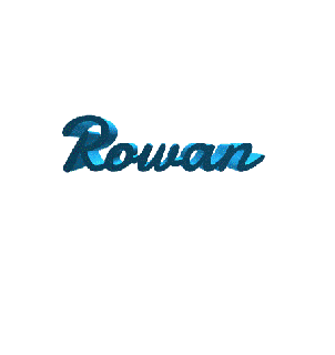 Rowan Garoto masculino homem decoração arte casa bricolupo bricolupo 3d Rowan 3d print model - Mito3D