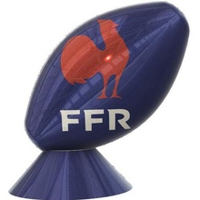 Rugby Ball Frankreich Kunst 3d print model - Mito3D