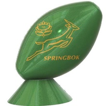 rugby ball south africa art 3d print model - Mito3D