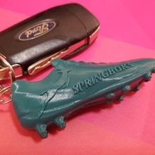 rugby boot - springboks 3d print model - Mito3D