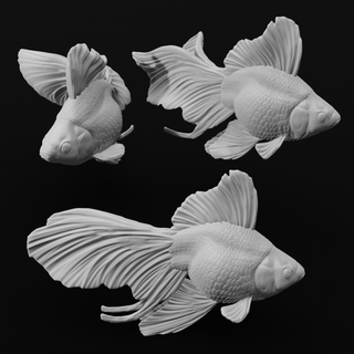 ryukin lujoso pez colores realista mascota acuático bonita hermoso animal juguete decoración esculpir alto escuela politécnica semi realistic realismo niños pasatiempo Arte 3d print model - Mito3D