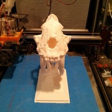 sciabola dente In piedi 3d print model - Mito3D