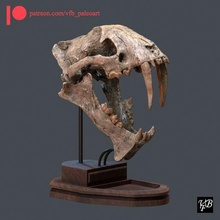sabertooth skull 3d print model - Mito3D