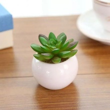 Tasche Topf Sukkulenten Vasen Vase Container Blume Dekor 3d print model - Mito3D