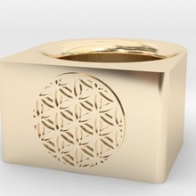 geometria sagrada flor life ring jóias 3d print model - Mito3D