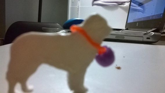 santo bernard 2d arte animal cão montanha animais 3d print model - Mito3D