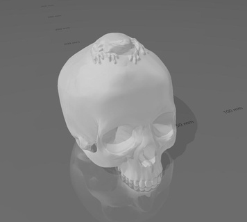 salamanca rana cráneo Universidad imprimible impresión domos3d 3d print model - Mito3D