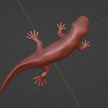 salamandra 3d print model - Mito3D