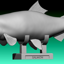 salmone pesce carpa 3d print model - Mito3D