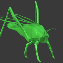 saltamonte grasshopper vari salto mountain il bug insetto 3d print model - Mito3D